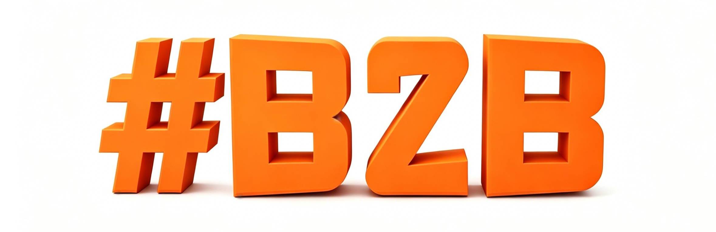 B2B B2B